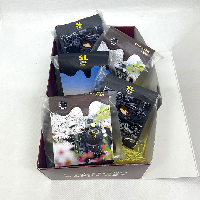 SL Paleo Express HAPPY BOX「チョコレートケーキ」