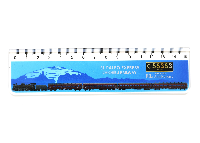 SL C58363 80 th 定規(15cm)