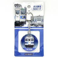 5000系装飾塗装記念　半メッキチャーム【5001号】